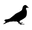 staplepigeon.com