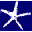 starfish-music.de