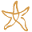 starfisheducation.com.au