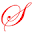starzin.com
