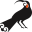 staysouth.com