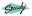 steadyclothing.com