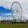 steelpier.com