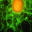 stemcell.tv