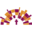 stmbengals.org