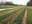 storm.farm