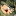 streamhunter.xyz