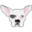 studynotesaba.com