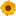 subtlenetwork.com