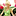 sugarpopparties.com.au