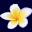 sunda-islands.com