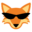 sunfoxshirt.com