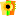 sunshine-montessori.com