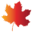 supportedemployment.ca