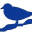 surfbirds.com