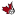 surrey2016.com