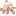 susanadevi.com