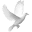 svdprx.org