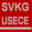 svkg.ch