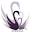 swan-intl.com