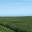swinny.net