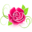 swoj.ru
