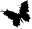 synthcube.com