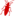 szkodnikidrewna.com