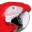 tacobird.com
