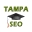 tampa-seo.com
