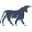 taurus.net