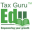 taxguruedu.com