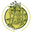 taxus.website