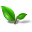 teaforum.org