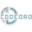 teamcodedao.com