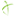 teamnct.com