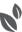 tearrific.ca