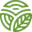 teatree.ro