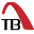 techbridgegroup.com
