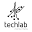 techlab.works