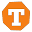 techshole.com