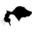 tehran-petshop.com