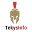 tekysinfo.com