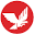 telecomfalcon.com