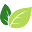 terrenum.net