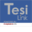 tesilink.it