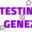 testinggenez.com