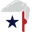 texanwindowcleaning.com