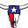 texasbulkwater.com