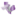 texasfootdoctor.org